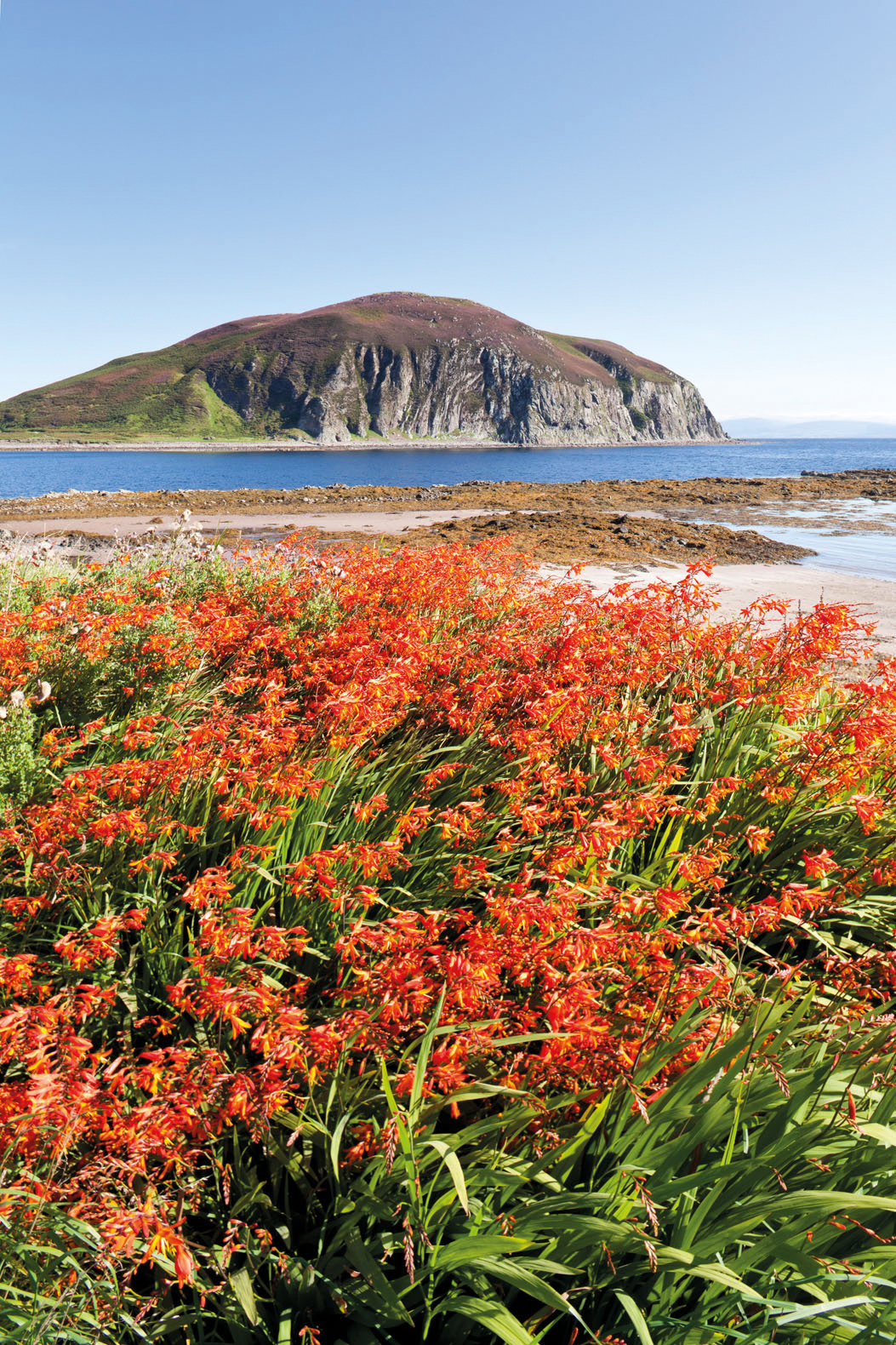 Background image: Sustainable Income