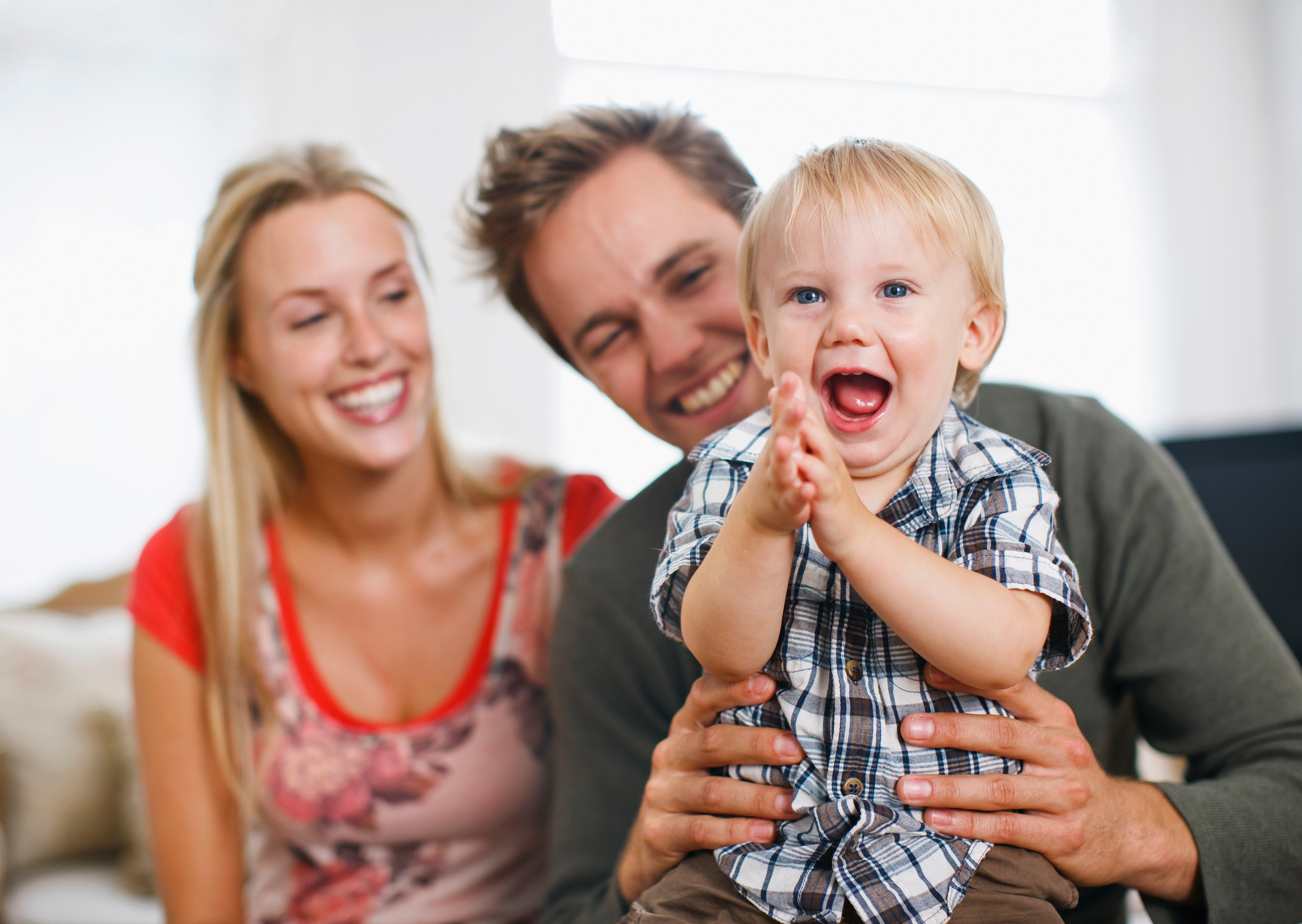 Background image: Scottish Intermediaries Online